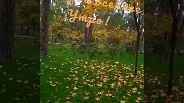 Доброго осеннего утра! смотреть онлайн