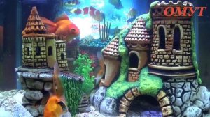 385. ВАШИ КОММЕНТЫ ДРУЗЬЯ...ПРИМЕТЫ ПО СНАМ...(7 - часть)