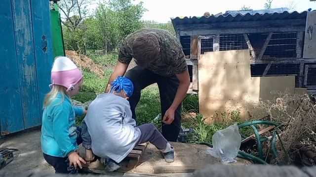 Ящик для перевозки маленьких поросят смотреть онлайн