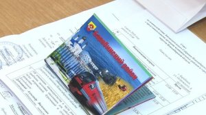 Закон о заготовке валежника дорабатывают в Новосибирской области