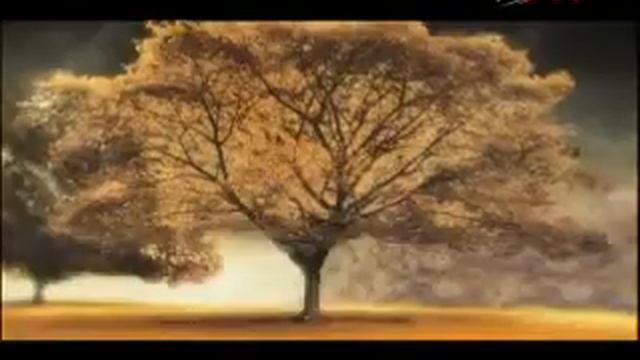 Дара... смотреть онлайн