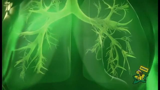 Проспан смотреть онлайн