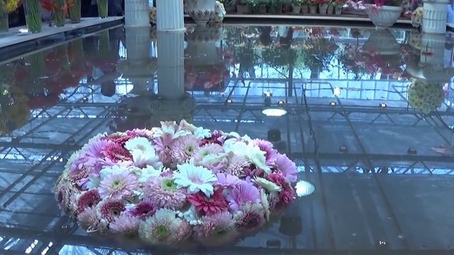 Ботанический сад "Аптекарский огород" смотреть онлайн