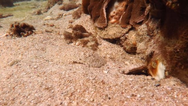 Дайвинг на Пхукете и нетуристический уединенный пляж | подводный мир Таиланд 2021 смотреть онлайн