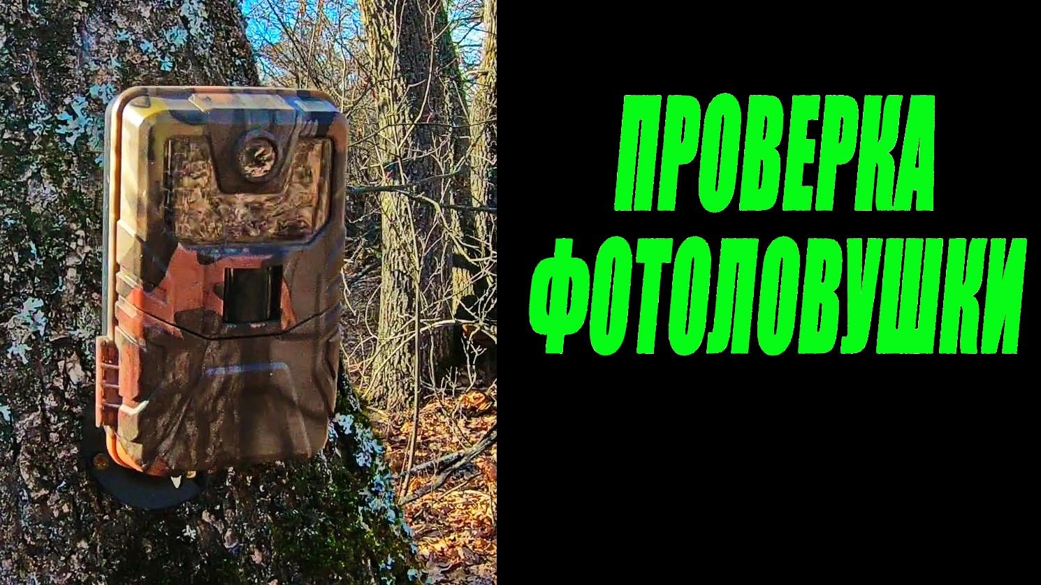 Проверка фотоловушки смотреть онлайн