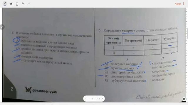 Пробный экзамен/Гювен/15.01.2023/Биология/ 10 класс/ смотреть онлайн