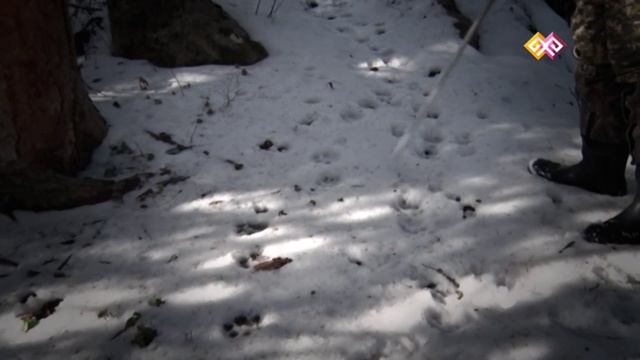 "Заповедники Казахстана" (001) - 05.01.16 смотреть онлайн