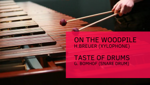 Ксилофон H. Breuer "On the woodpile". Малый барабан G. Bomhof "Taste of Drums"
