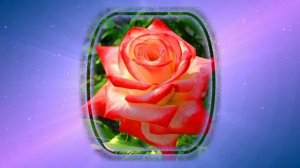 Футаж. Цветочный фон 128