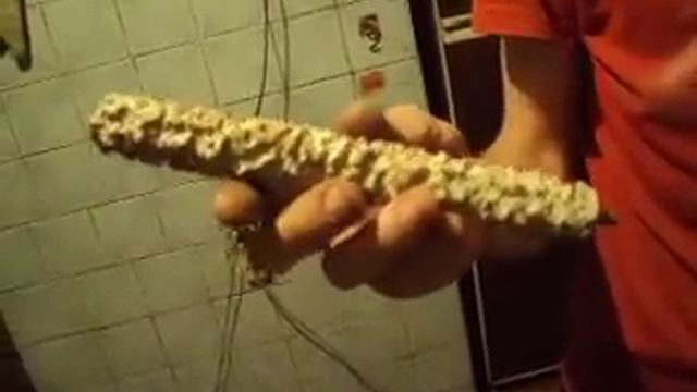 чтобы бойлер не вонял