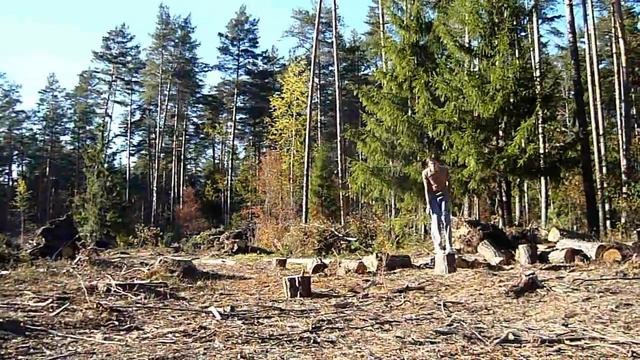 accuracy day смотреть онлайн