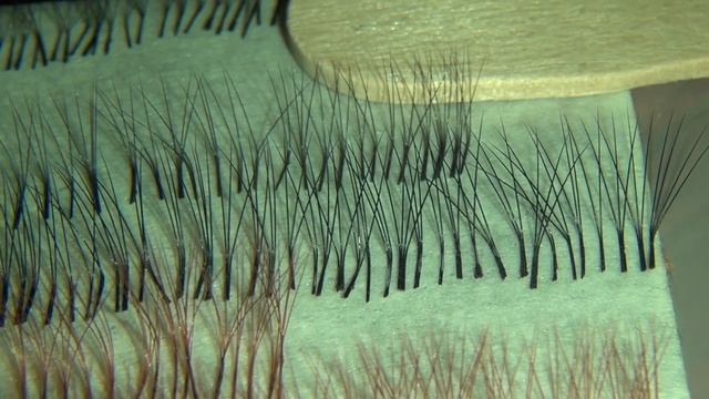 Голливудский объем ищет рыжую бестию смотреть онлайн