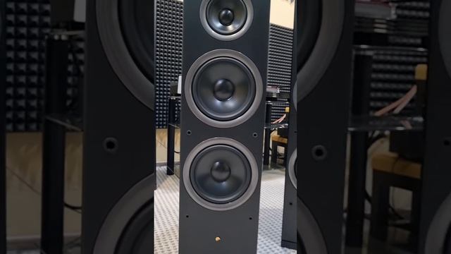 БАС! БАС! БАС! Большие басистые и главное ДЕШЕВЫЕ колонки Swan Jam&Lab8! #hifi #highend #акустика