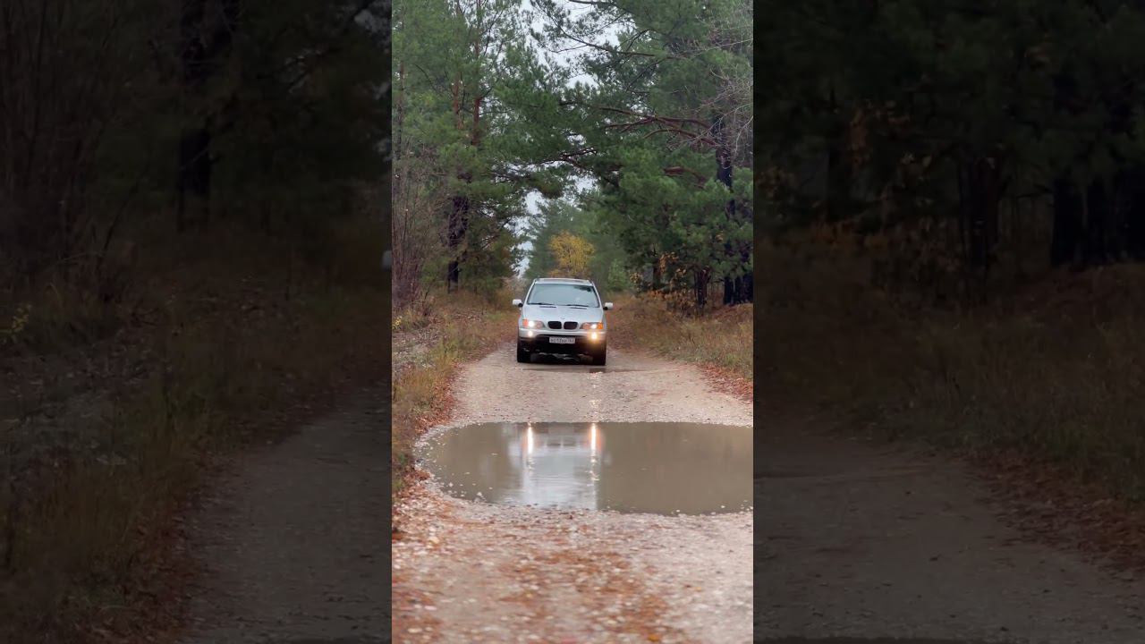 Х5 катит по лесу #bmw #бумер #bmwx5 смотреть онлайн