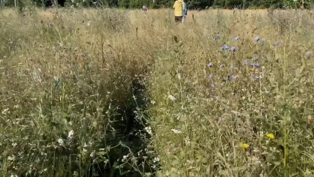 ГОЛОДАНИЕ В УДОВОЛЬСТВИЕ | Часть 2 смотреть онлайн