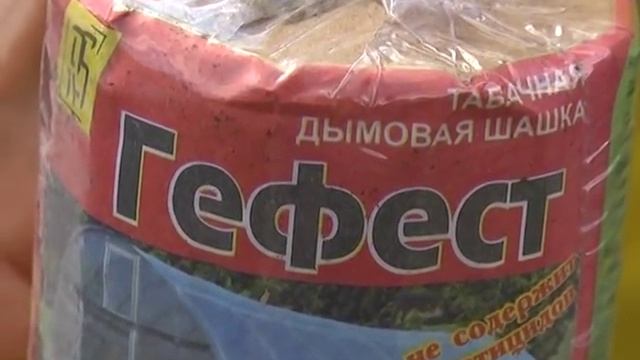 Огурцы, томаты, баклажан, белокрылка, плодожорка, гортензия. смотреть онлайн