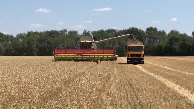 ЛУЧШИЙ КОМБАЙН В СВОЁМ КЛАССЕ!!!НОВЫЙ CLAAS TUCANO 580