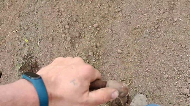 сажалка для рассады