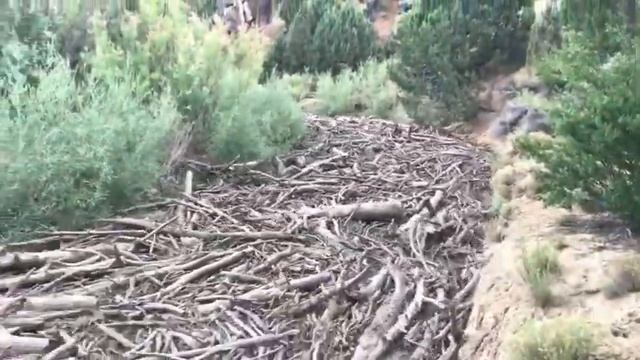 КАТАКЛИЗМЫ И КАТАСТРОФЫ ПРИРОДЫ,СЕЛЕВЫЕ ПОТОКИ смотреть онлайн