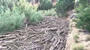 КАТАКЛИЗМЫ И КАТАСТРОФЫ ПРИРОДЫ,СЕЛЕВЫЕ ПОТОКИ