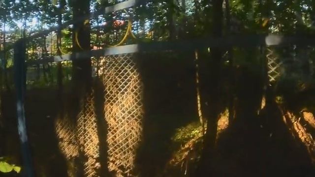 Берлога Гитлера. Продолжение поиска помещений бункера. смотреть онлайн