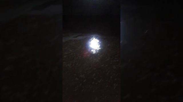 Казактелеком затопил подвал