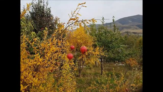 ԱՍԿԵՐԱՆ ГОРОД АСКЕРАН ASKERAN