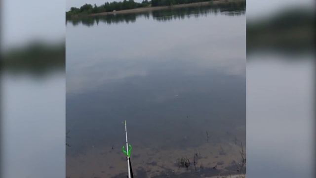 Моя первая рыбалка .Все не по плану... смотреть онлайн