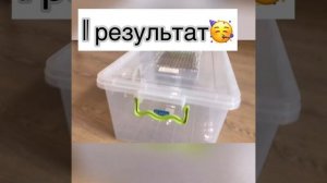 ?Как сделать домик хомяку из пищевых контейнеров/ Дом хомяку своими руками?