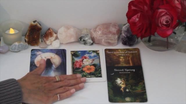 Virgo~Venus Enters Leo~The Next 4 Months~Love & Money~Oracle смотреть онлайн