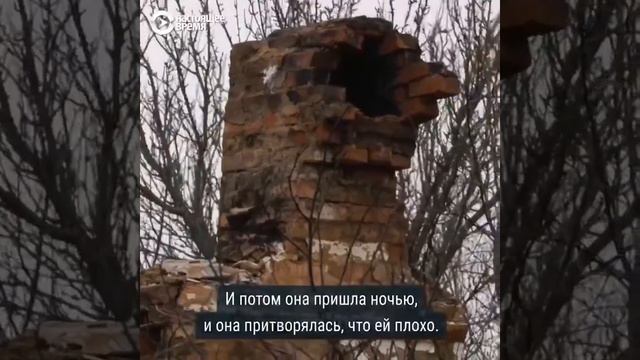 всех орков найдут .уже находят. смотреть онлайн