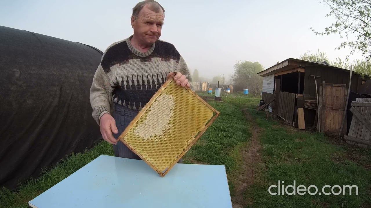 Дрожжи для мёда. смотреть онлайн