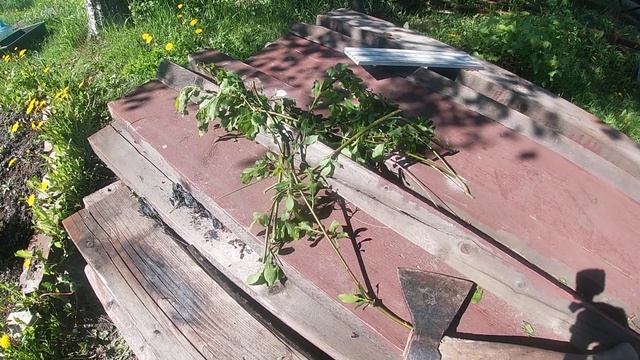 Домашний ужин для друзей 