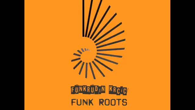 Funkrudin Krcic - Funk Roots смотреть онлайн