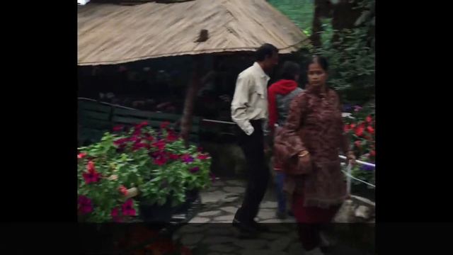 Vlog #11, Gangtok Annual Flower Show, Sikkim