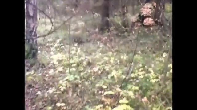 VLOG: РАДУГА, не могу говорить, ОПЯТА, уборка сада, Алиска! смотреть онлайн