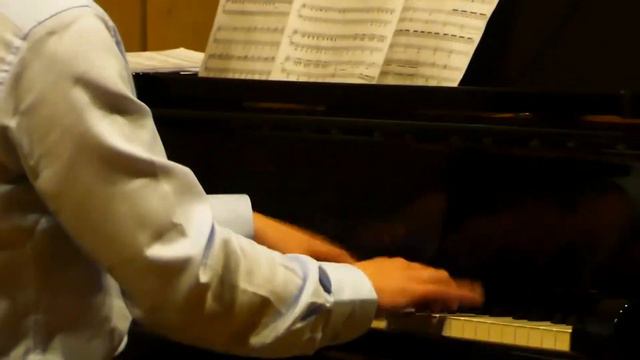 Karneval Der Tiere Finale