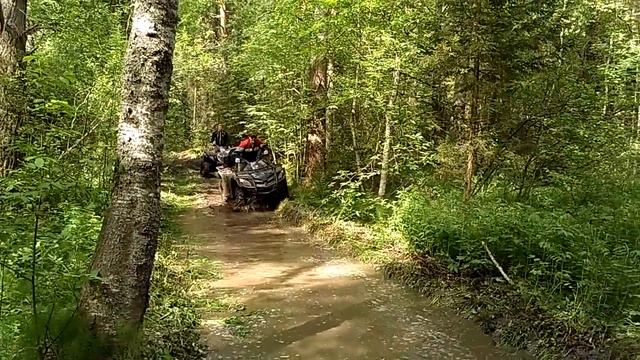 Стрельчиха 2017,Stels 600 Dinli,Polaris 500.,Stels 500,Stels 600 leopard. смотреть онлайн