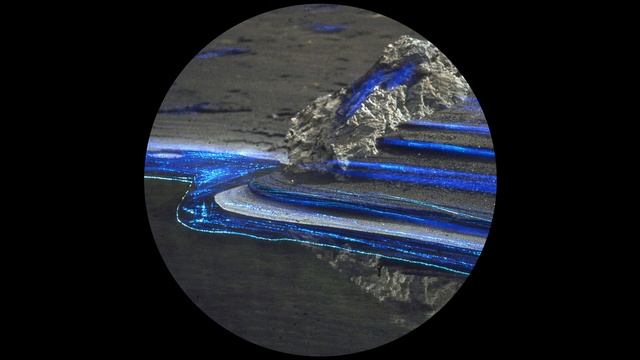 Raveld - Where Are We Now? смотреть онлайн