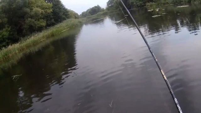 Ловлю на воблеры Lucky John. Какая речка, такая и рыба!!!