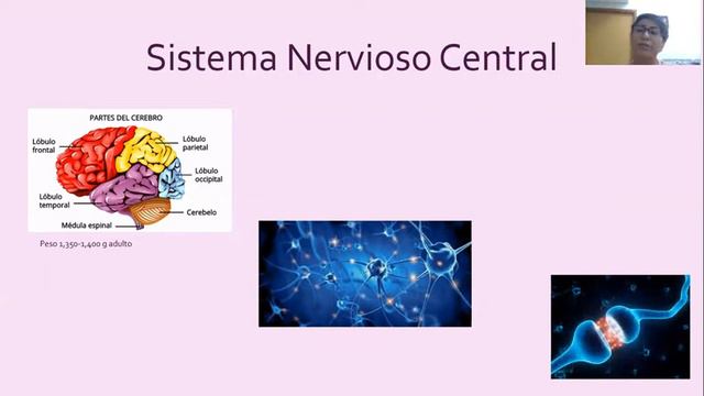 Act 3 Juana Patricia Medina Caballero смотреть онлайн