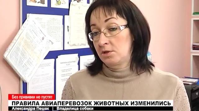 ПРАВИЛА АВИАПЕРЕВОЗОК ЖИВОТНЫХ ИЗМЕНИЛИСЬ смотреть онлайн