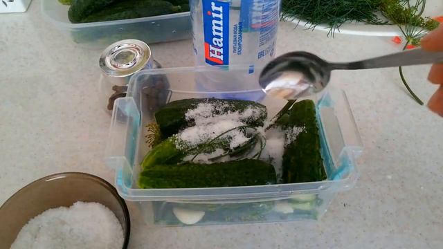 Самый ПРОСТОЙ и БЫСТРЫЙ рецепт МАЛОСОЛЬНЫХ огурчиков. НА СЛЕДУЮЩИЙ ДЕНЬ ГОТОВЫ. смотреть онлайн