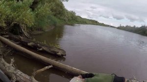 Эти Судаки жадно хватают приманки Рыбалка в промборе река Чулым часть 3