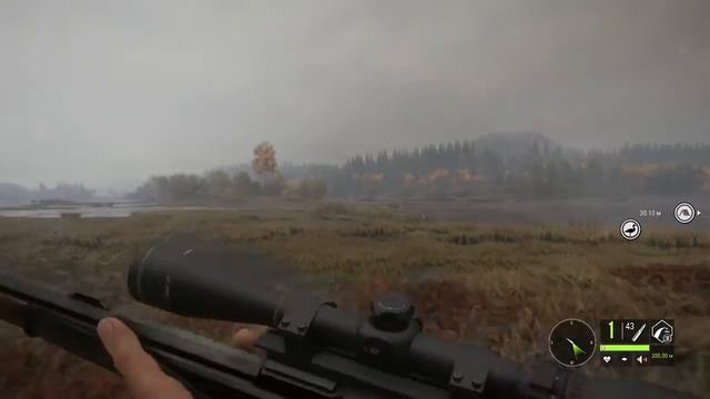 ТheHunter: зов дикой природы Белохвостый Олень смотреть онлайн