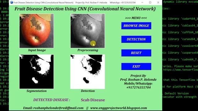 Python Code for Fruit Disease Detection Using CNN Convolutional Neural Network | With Source Code смотреть онлайн