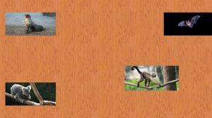 Карточки Домана Часть 3 Животние мира!