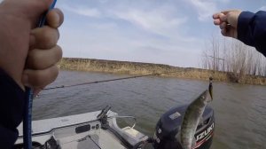 Маково, Зеленга. Весенняя рыбалка в Астраханской области.