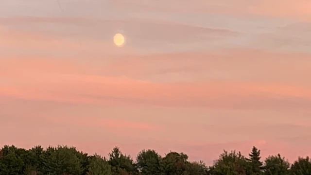 Peace Will Come by Tom Paxton (with World Music Drumming accompaniment) смотреть онлайн