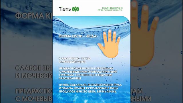 Тип кисти «вода». Давайте посмотрим, какими особенностями этот тип обладает. смотреть онлайн